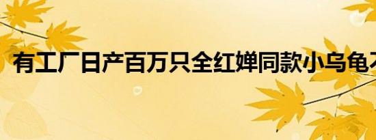 有工厂日产百万只全红婵同款小乌龟不够卖