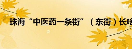 珠海“中医药一条街”（东街）长啥样？