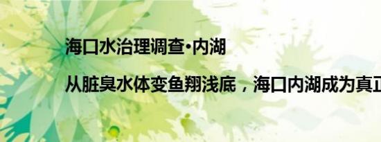 海口水治理调查·内湖|从脏臭水体变鱼翔浅底，海口内湖成为真正