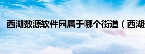 西湖数源软件园属于哪个街道（西湖数源）