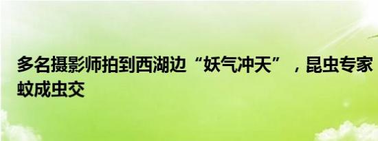 多名摄影师拍到西湖边“妖气冲天”，昆虫专家：是大量摇蚊成虫交