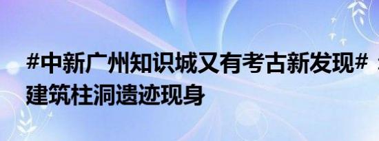 #中新广州知识城又有考古新发现#：干栏式建筑柱洞遗迹现身