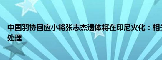 中国羽协回应小将张志杰遗体将在印尼火化：相关部门正在处理