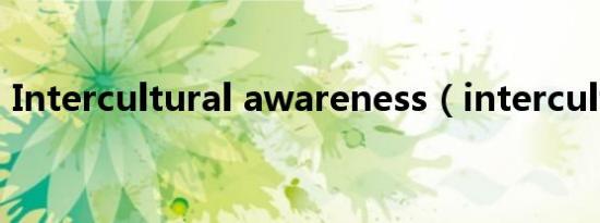 Intercultural awareness（intercultural）