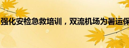 强化安检急救培训，双流机场为暑运保驾护航