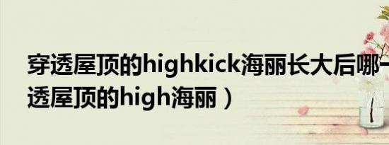 穿透屋顶的highkick海丽长大后哪一集（穿透屋顶的high海丽）