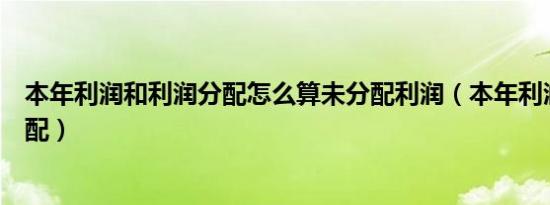 本年利润和利润分配怎么算未分配利润（本年利润和利润分配）