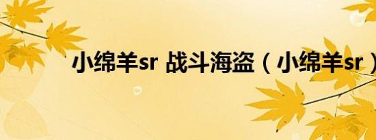 小绵羊sr 战斗海盗（小绵羊sr）