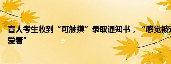 盲人考生收到“可触摸”录取通知书，“感觉被这个世界深爱着”