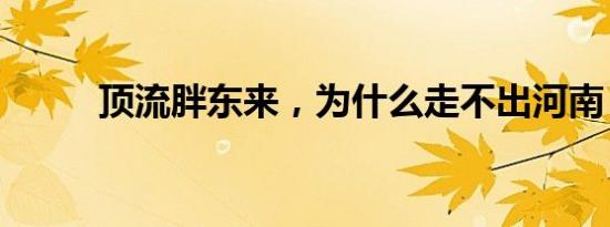 顶流胖东来，为什么走不出河南？