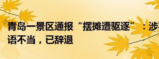 青岛一景区通报“摆摊遭驱逐”：涉事安保言语不当，已辞退