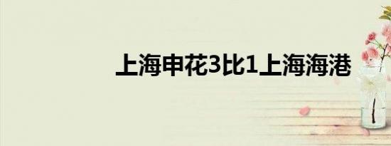 上海申花3比1上海海港