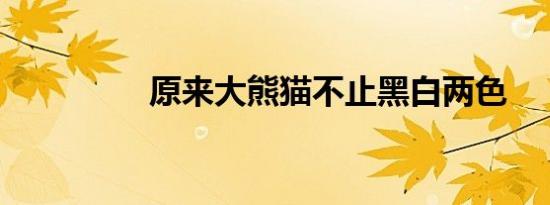 嫌疑人被指认来自乌克兰！三问“北溪”爆炸调查新进展