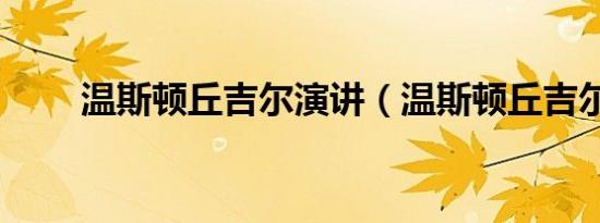 温斯顿丘吉尔演讲（温斯顿丘吉尔）