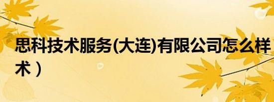 思科技术服务(大连)有限公司怎么样（思科技术）