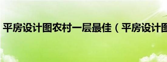 平房设计图农村一层最佳（平房设计图农村）