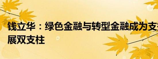 钱立华：绿色金融与转型金融成为支持绿色发展双支柱