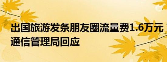 出国旅游发条朋友圈流量费1.6万元？上海市通信管理局回应