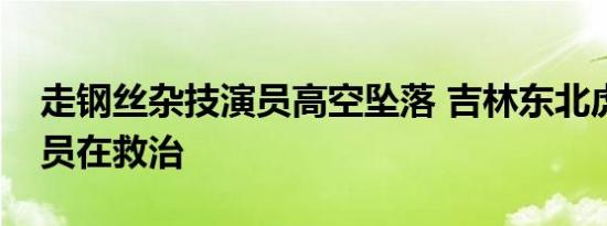 走钢丝杂技演员高空坠落 吉林东北虎园：伤员在救治