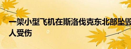 一架小型飞机在斯洛伐克东北部坠毁 造成两人受伤