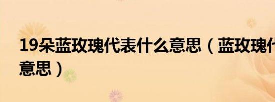 19朵蓝玫瑰代表什么意思（蓝玫瑰代表什么意思）