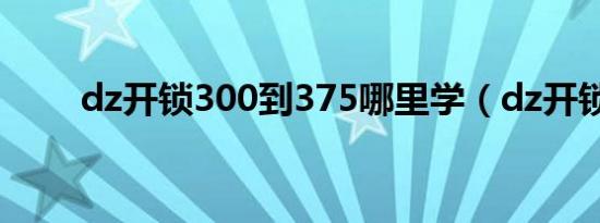 dz开锁300到375哪里学（dz开锁）