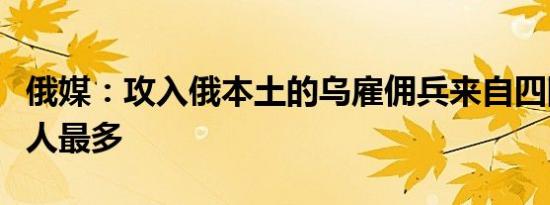 俄媒：攻入俄本土的乌雇佣兵来自四国，波兰人最多