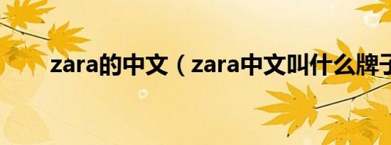 zara的中文（zara中文叫什么牌子）