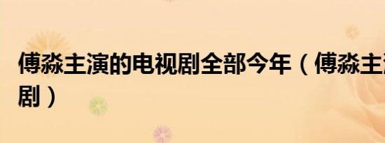 傅淼主演的电视剧全部今年（傅淼主演的电视剧）