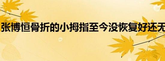 脑脊液清除毒素机制发现有望恢复大脑“衰老处理系统”