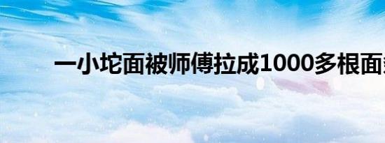 一小坨面被师傅拉成1000多根面条