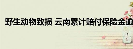 野生动物致损 云南累计赔付保险金逾6亿元