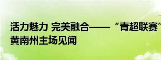 活力魅力 完美融合——“青超联赛”第九轮黄南州主场见闻