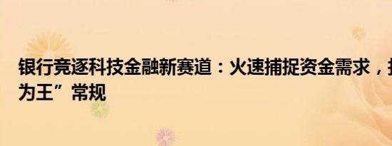 银行竞逐科技金融新赛道：火速捕捉资金需求，打破“抵押为王”常规