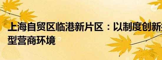 上海自贸区临港新片区：以制度创新打造开放型营商环境