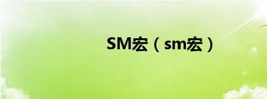 SM宏（sm宏）