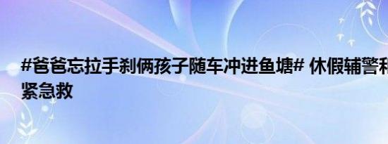 #爸爸忘拉手刹俩孩子随车冲进鱼塘# 休假辅警和周围钓友紧急救