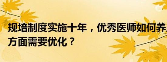 规培制度实施十年，优秀医师如何养成？哪些方面需要优化？