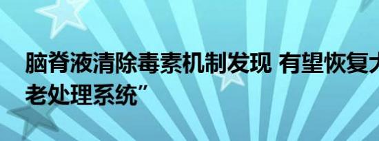 脑脊液清除毒素机制发现 有望恢复大脑“衰老处理系统”