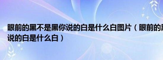 眼前的黑不是黑你说的白是什么白图片（眼前的黑不是黑你说的白是什么白）