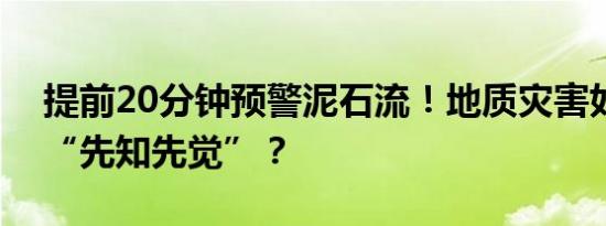 提前20分钟预警泥石流！地质灾害如何做到“先知先觉”？