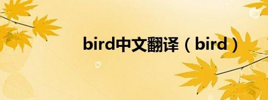 bird中文翻译（bird）