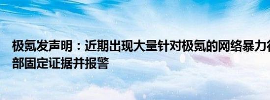 极氪发声明：近期出现大量针对极氪的网络暴力行为，已全部固定证据并报警