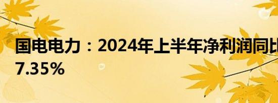 国电电力：2024年上半年净利润同比增长127.35%