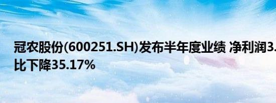 冠农股份(600251.SH)发布半年度业绩 净利润3.02亿元 同比下降35.17%