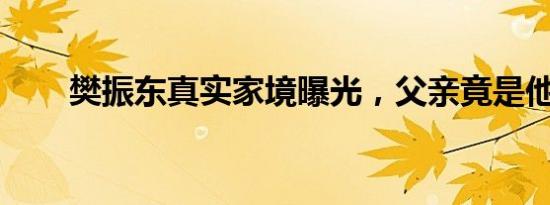 樊振东真实家境曝光，父亲竟是他…