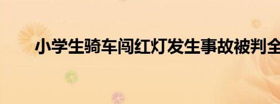 小学生骑车闯红灯发生事故被判全责