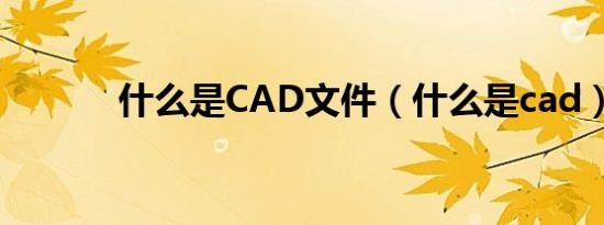 什么是CAD文件（什么是cad）