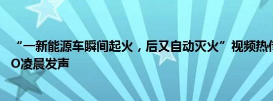 “一新能源车瞬间起火，后又自动灭火”视频热传，车企CEO凌晨发声