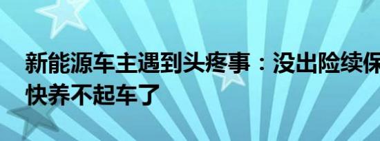 新能源车主遇到头疼事：没出险续保被涨价 快养不起车了